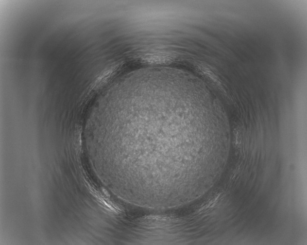 X0000058780733200510071608