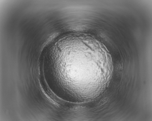 X0000058780734200510071608