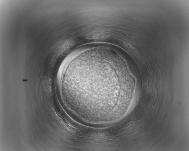 X0000058780735200510071608