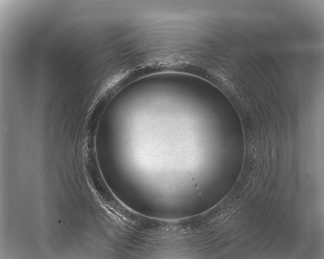 X0000058780736200510071608