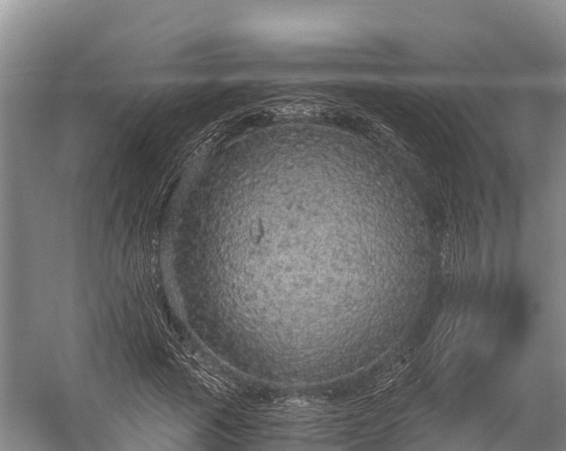 X0000058780737200510071608