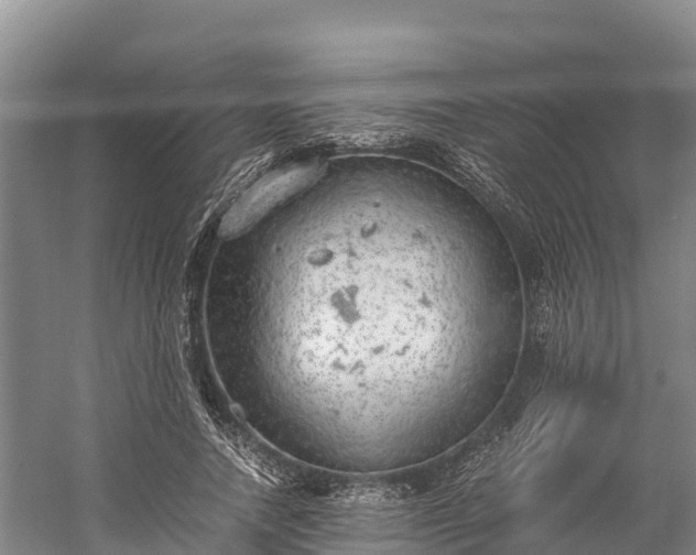 X0000058780738200510071608