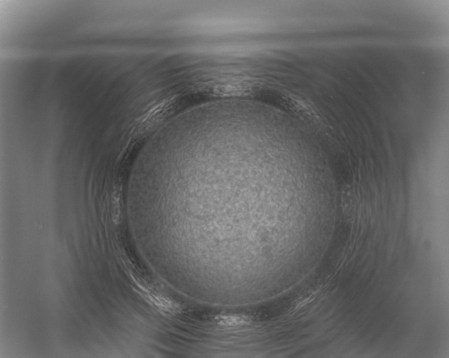 X0000058780741200510071608