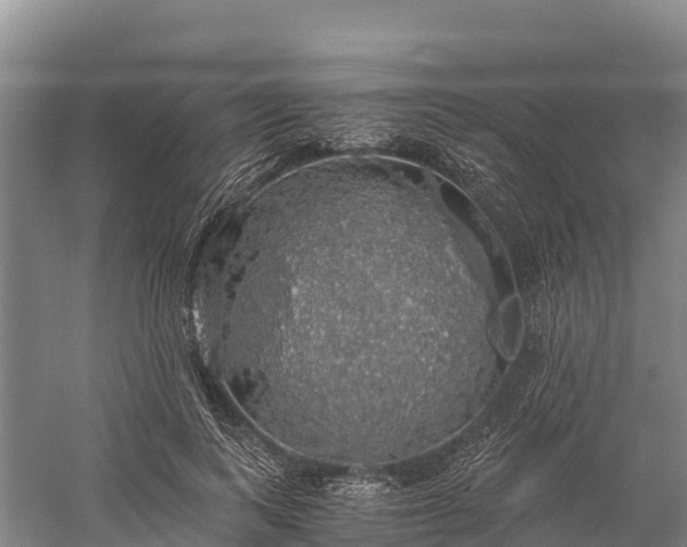 X0000058780743200510071608