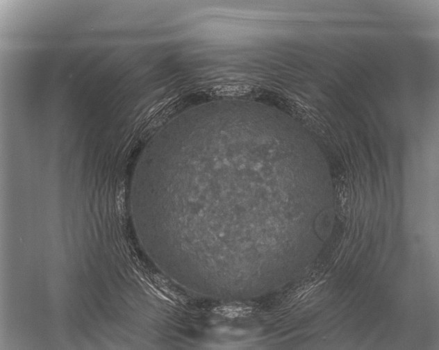 X0000058780745200510071608