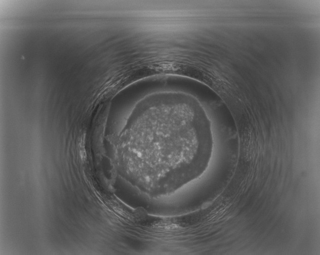 X0000058780747200510071608