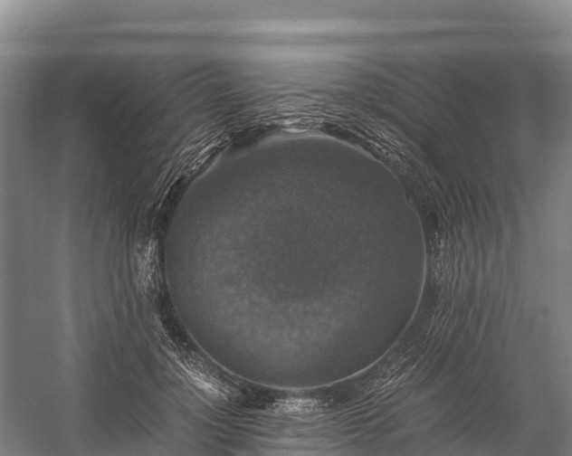 X0000058780748200510071608