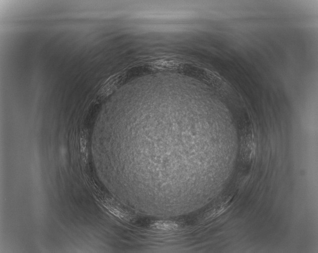 X0000058780749200510071608