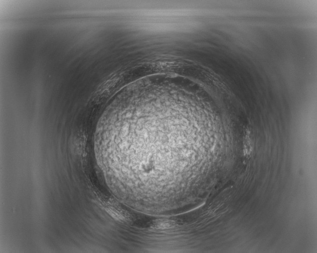 X0000058780750200510071608