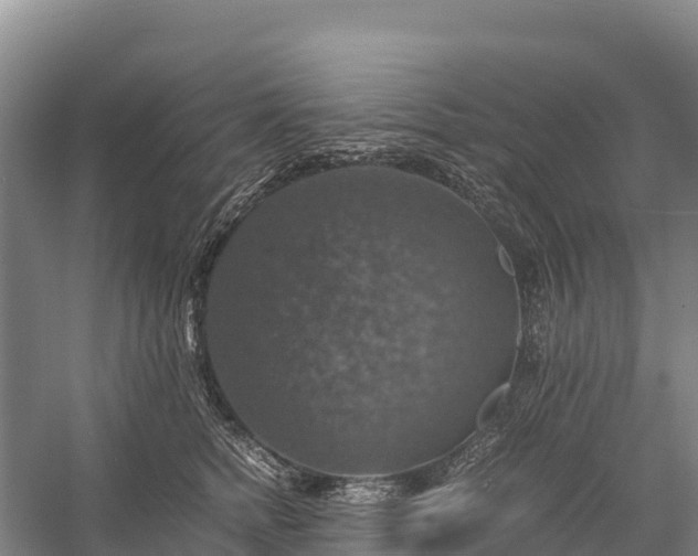 X0000058780758200510071608