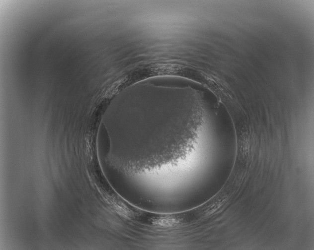 X0000058780759200510071608