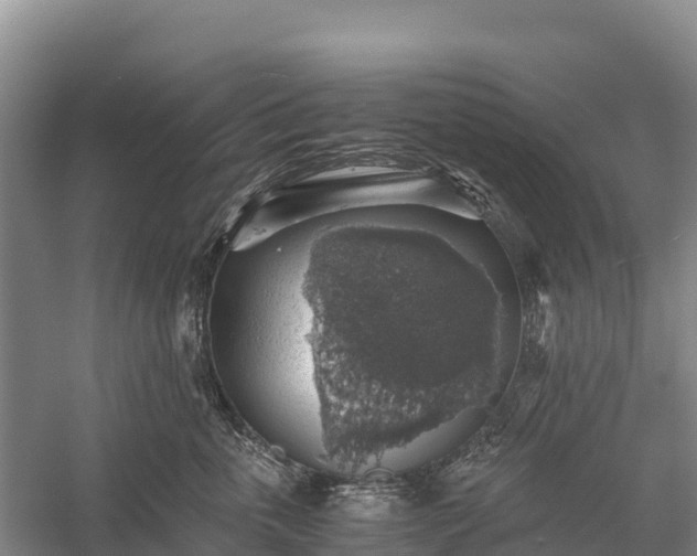 X0000058780763200510071608