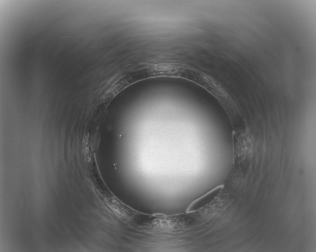 X0000058780764200510071608