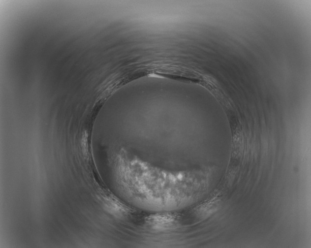 X0000058780765200510071608