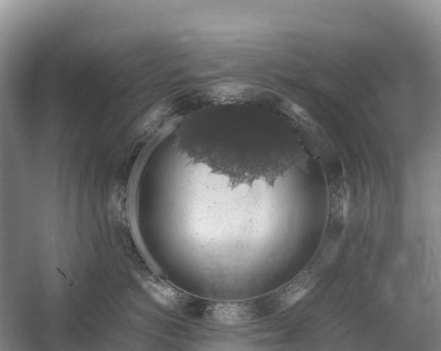 X0000058780766200510071609