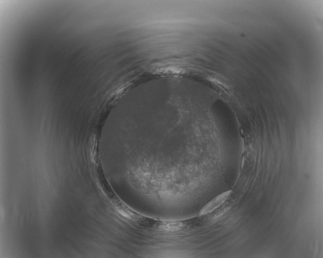 X0000058780767200510071609