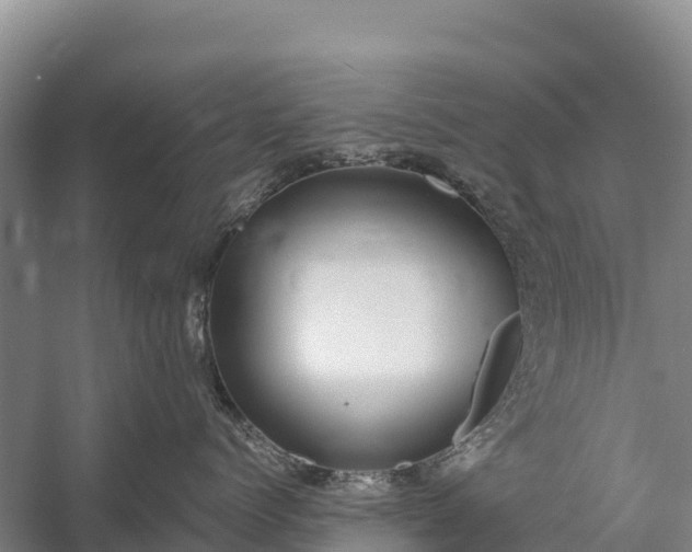 X0000058780768200510071609