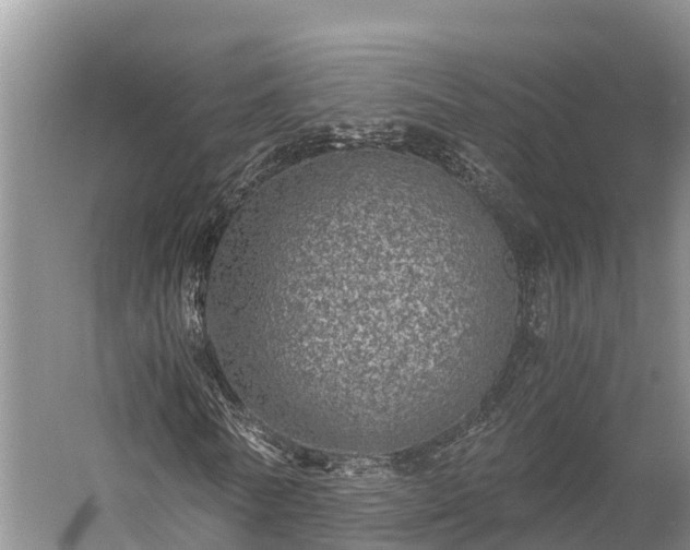 X0000058780770200510071608