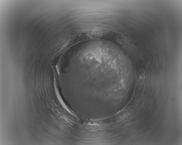 X0000058780772200510071608