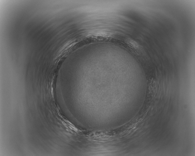 X0000058780774200510071608