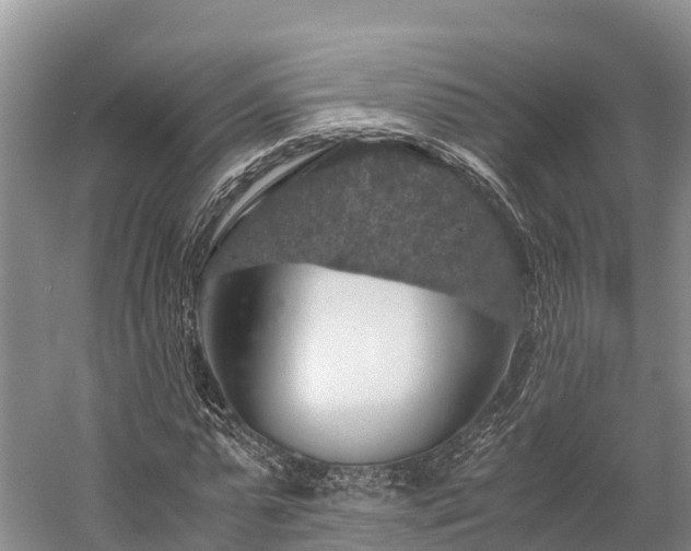 X0000058780775200510071608