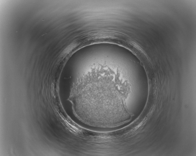 X0000058780777200510071608