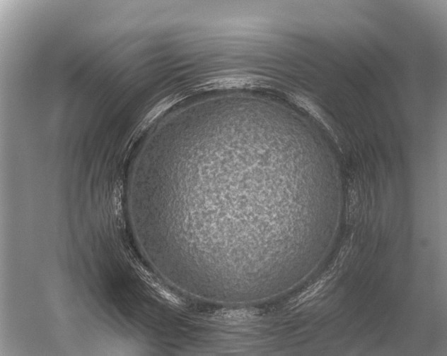 X0000058780778200510071608