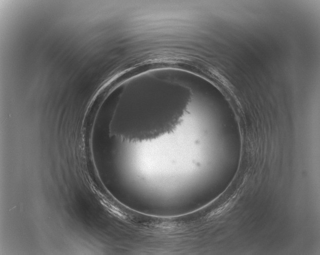 X0000058780779200510071608