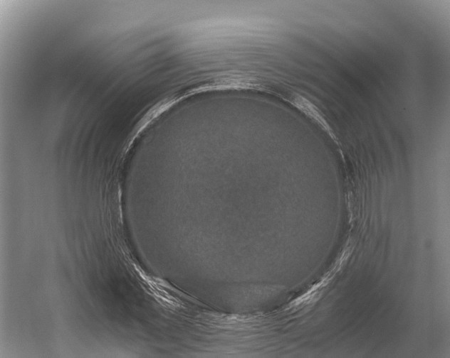 X0000058780781200510071608