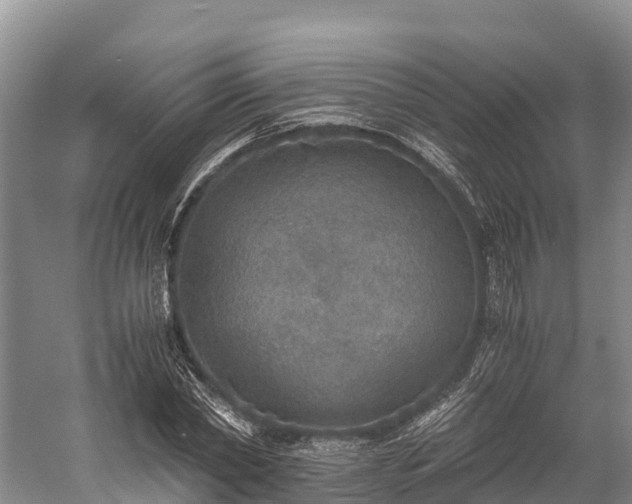 X0000058780782200510071608