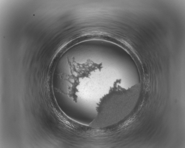 X0000058780783200510071607