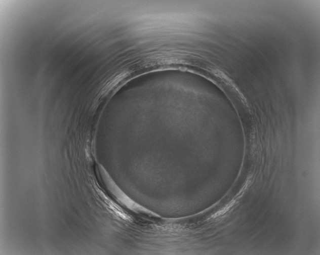 X0000058780785200510071607