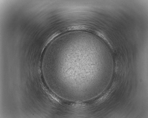 X0000058780786200510071607