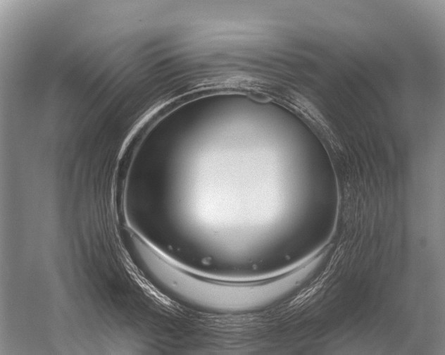 X0000058780788200510071607