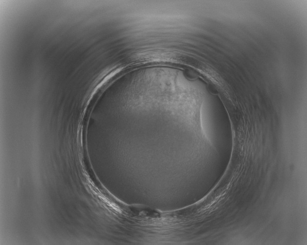 X0000058780790200510071607