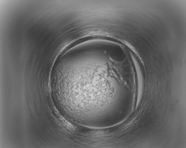 X0000058780791200510071607