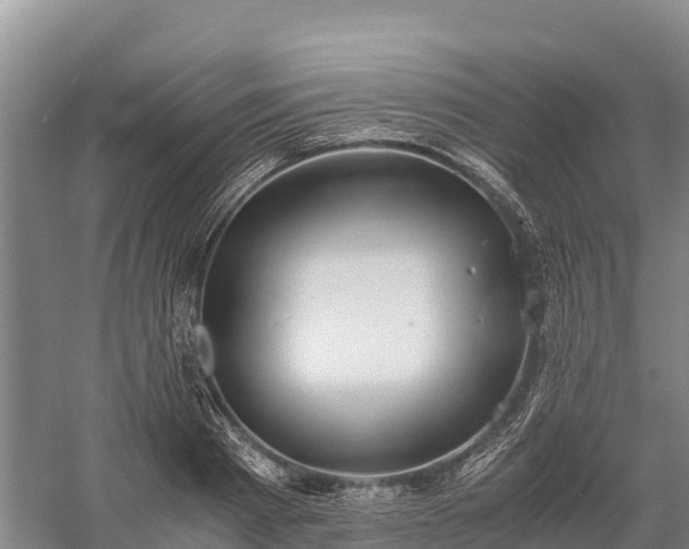 X0000058780793200510071607