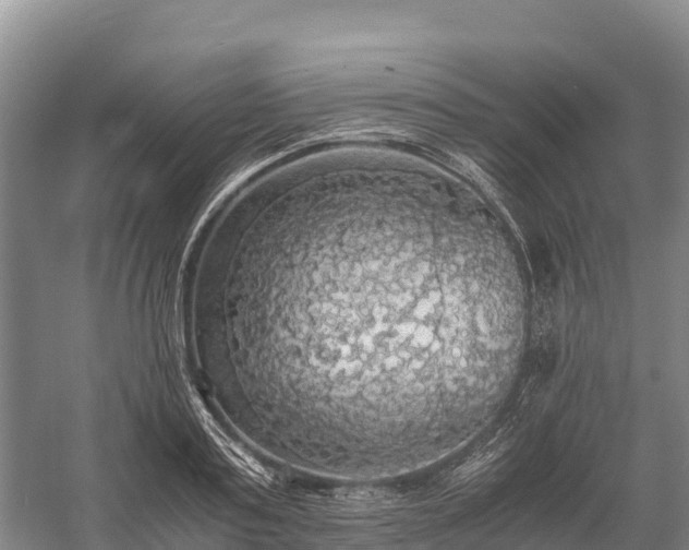 X0000058780795200510071607