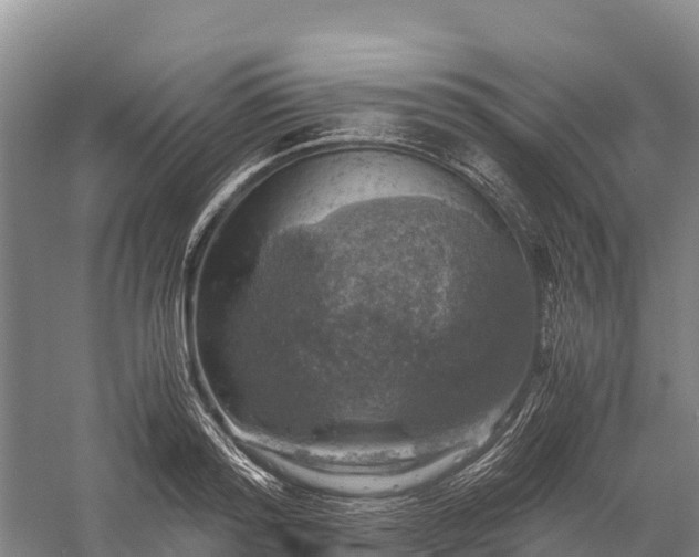 X0000058780796200510071607