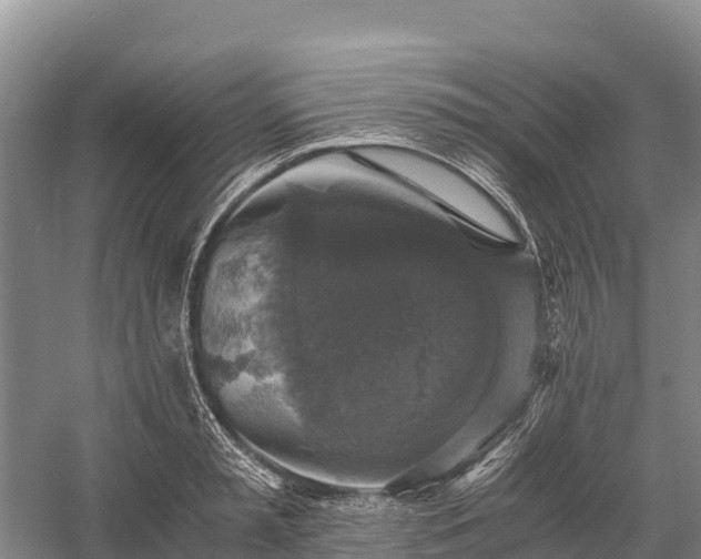 X0000058780797200510071607