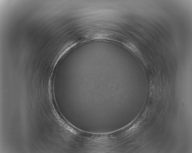 X0000058780798200510071607