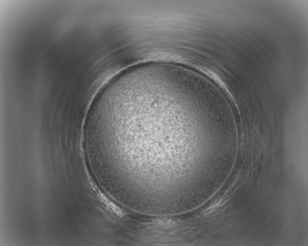 X0000058780799200510071607