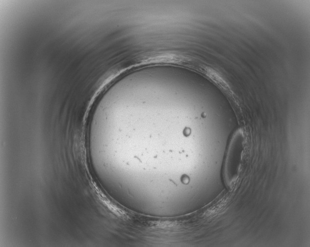 X0000058780800200510071607