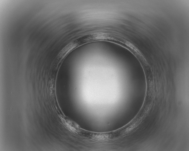 X0000058780801200510071607