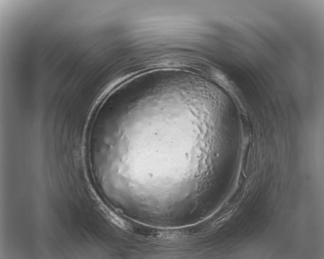 X0000058780803200510071607