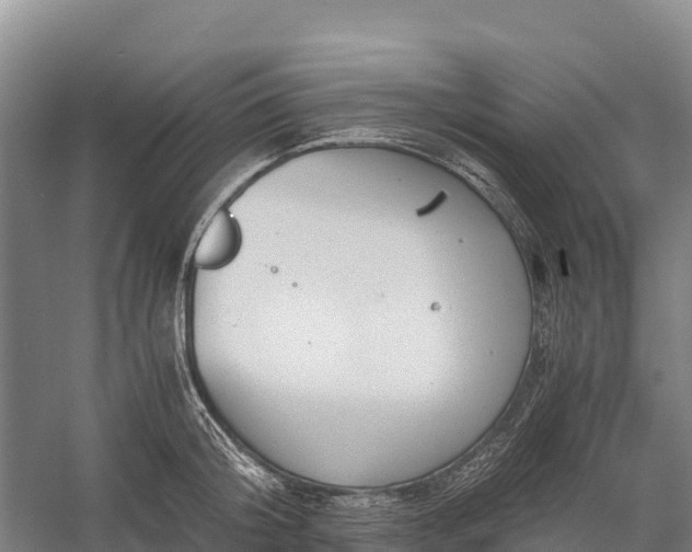 X0000058780804200510071607