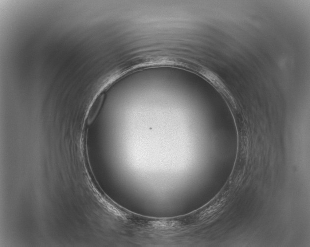 X0000058780805200510071607