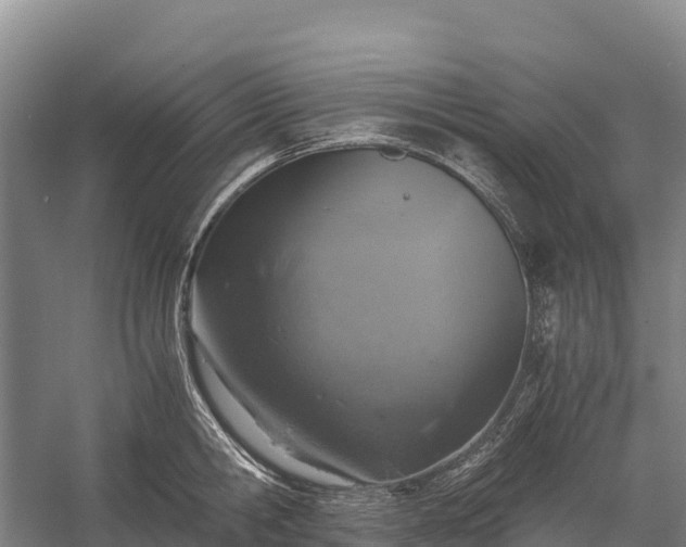 X0000058780806200510071607