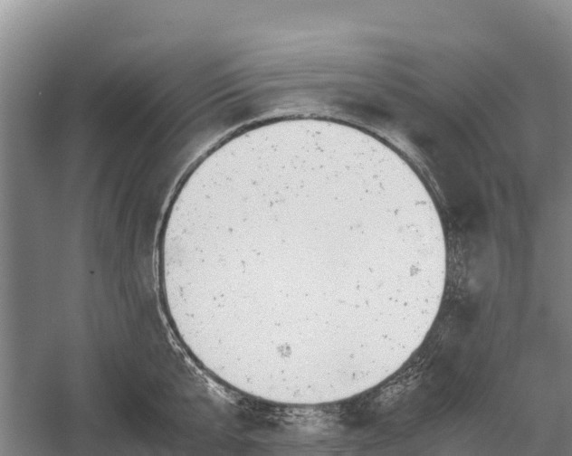 X0000058780807200510071607