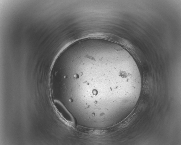 X0000058780808200510071607